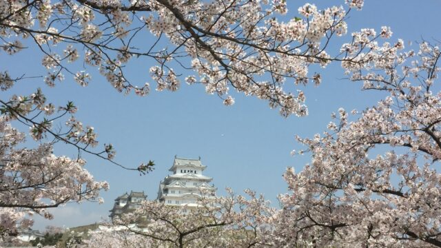 【桜の名所MAP】兵庫県にある桜の名所・お花見スポット10選