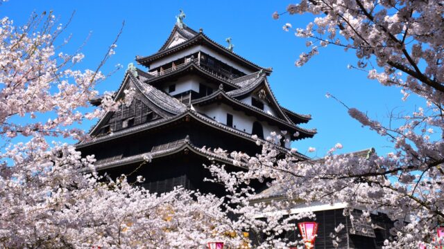 【桜の名所MAP】島根県にある桜の名所・お花見スポット7選