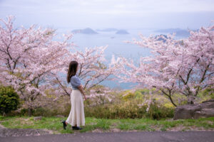 【桜の名所MAP】香川県にある桜の名所・お花見スポット5選