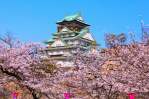 【桜の名所MAP】大阪府にある桜の名所・お花見スポット3選