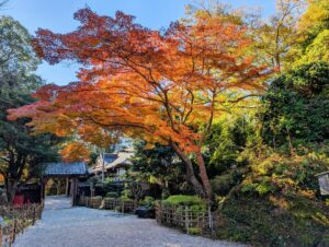 【紅葉の名所MAP】奈良県にある紅葉の名所100選・紅葉狩りスポット