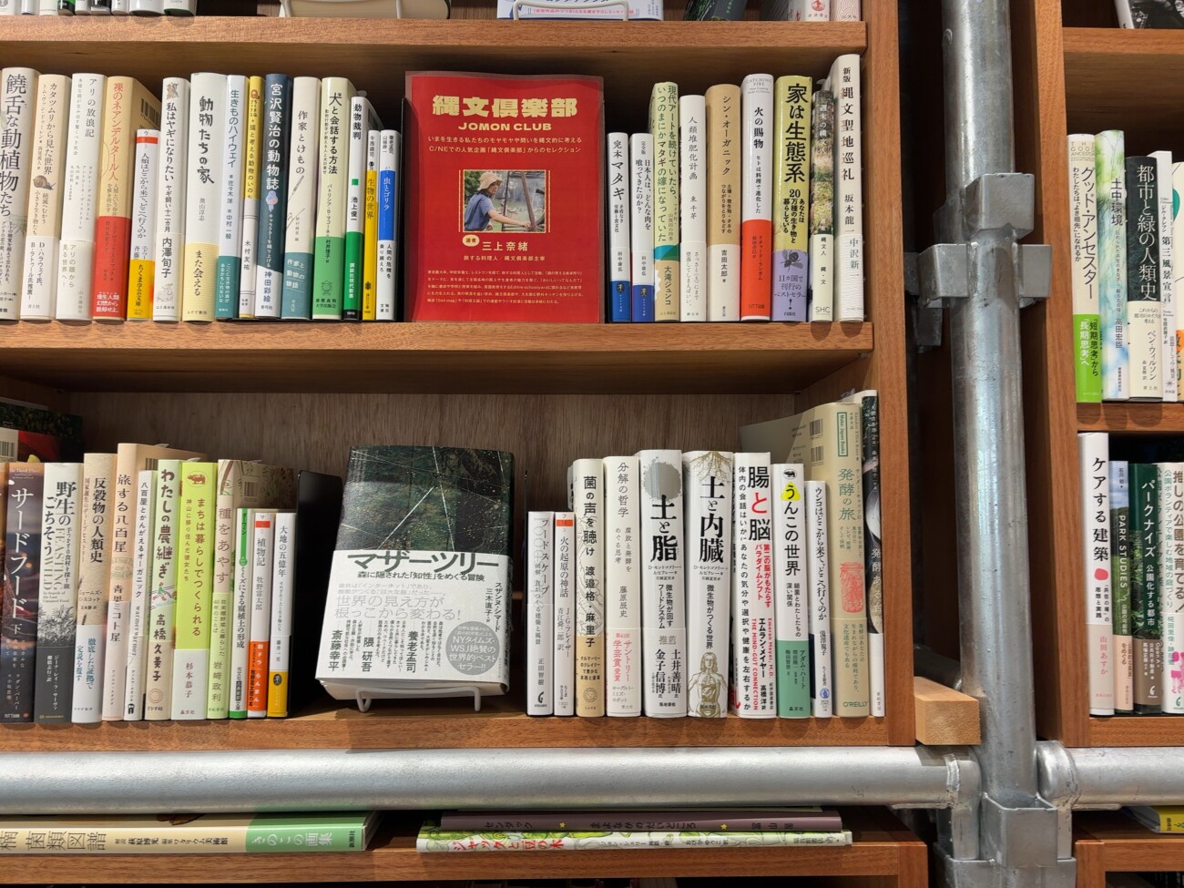 本棚